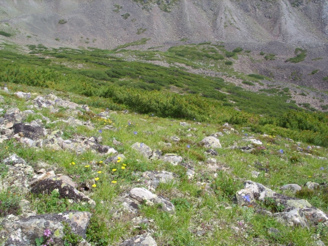 Самое подножие Улуна, южная сторона